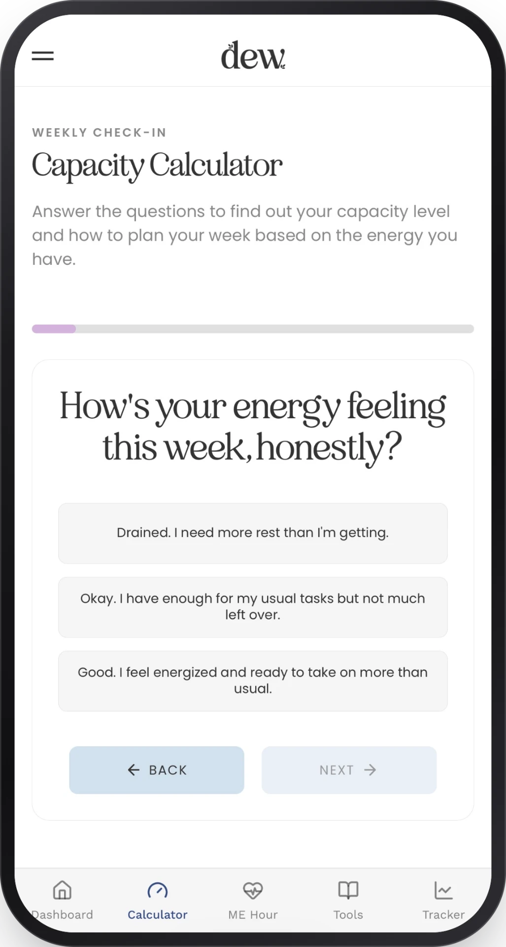 DEW Capacity Calculator weekly energy check-in on a phone